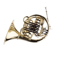 French horn.JPG